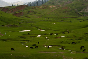 swat khyber pakhtunkhwa pakistan