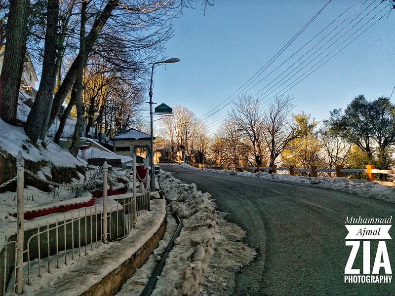 muree